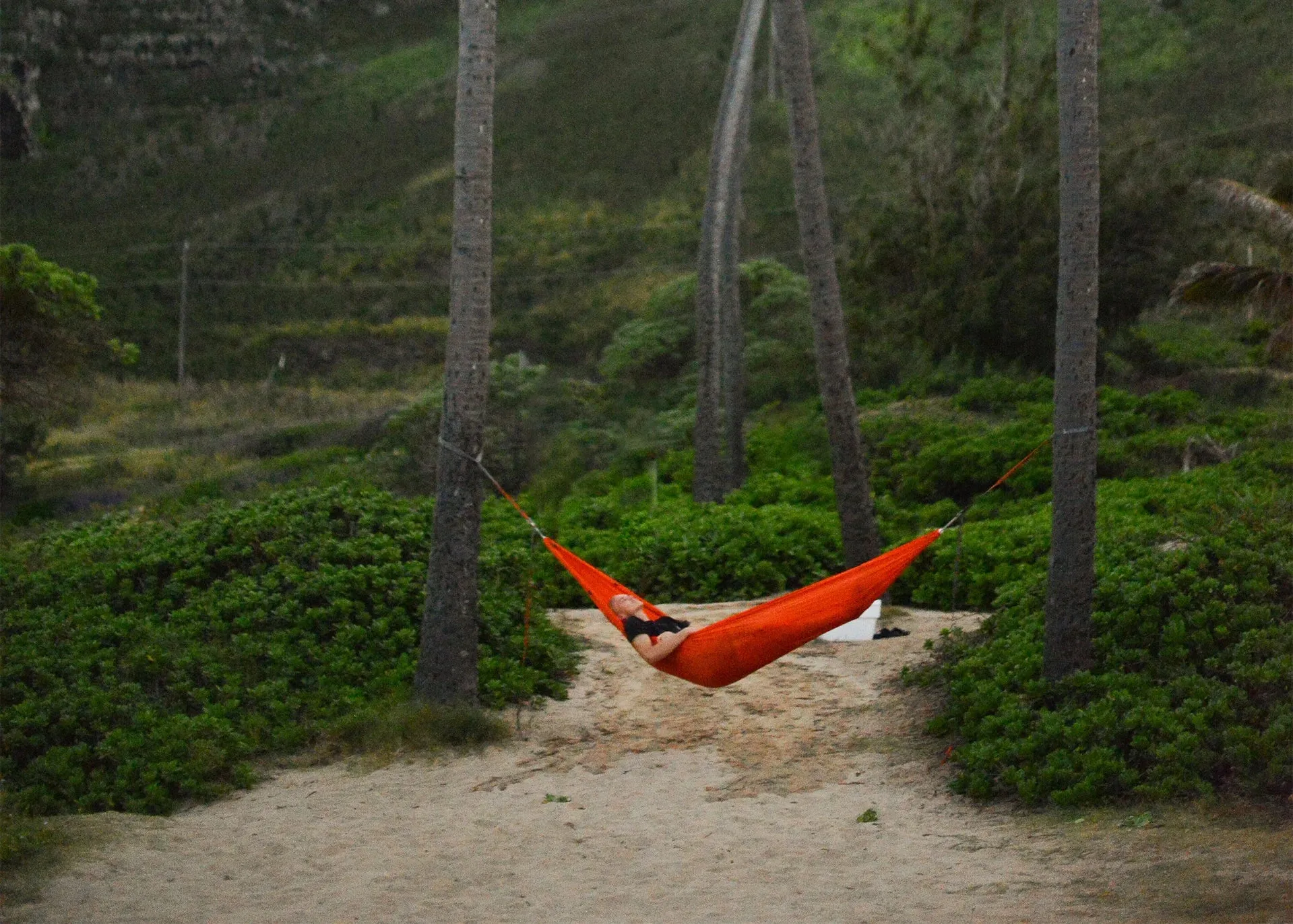 Roo Double - Hammock